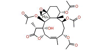 Fragilide U